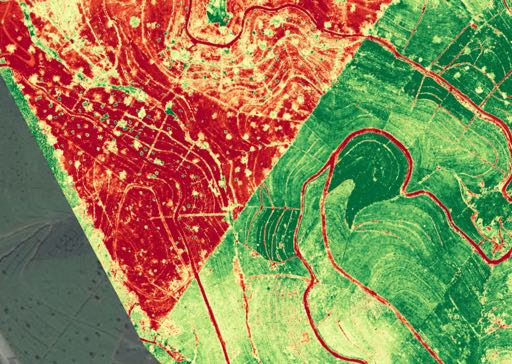 Plant Health Scanning